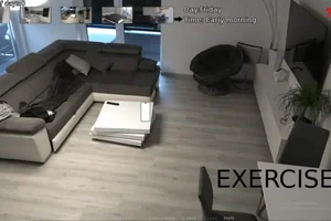 Exchange Program - Free Porn Games | FEELEX